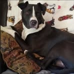 Sharon Burris - Facebook