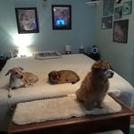 Sharon Burris - @sharo8175 - Instagram