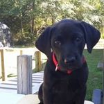 Sharon Burris - @sharonbmom67 - Instagram