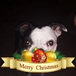 Sharon Butcher - @sharon.butcher.7 - Instagram