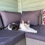 Sharon Butcher - @mitcsha36 - Instagram