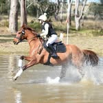 Sharon Butcher - @summjequestrian - Instagram