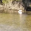 Sharon Butcher - @sharon.butcher5 - TikTok