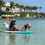 Sharon byers - @sharonbyers50 - Instagram
