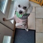 Sharon Byers - @sharonbyersryan - Instagram