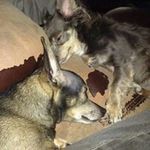 Sharon Byers - @sharon.byers - Instagram