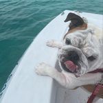 Sharon Byers - @bahamasbruceboy - Instagram