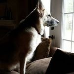 Sharon Byers-Carroll - @ripsgirl - Instagram