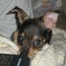Sharon Calcote Phillips - Facebook