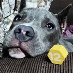 Sharon Callihan - @sharon__2873 - Instagram