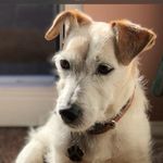 Sharon calvert - @calvert9984 - Instagram