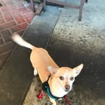 Sharon Calvert - @sharon.calvert52 - Instagram