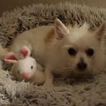 Sharon Calvert - @sjcalvertphd - Instagram
