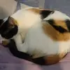 Sharon Cardenas - @sharon.cardenas1 - TikTok