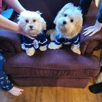 Sharon G Cardinal - @sharon092258 - Instagram