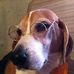 Sharon Carley - Facebook