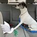 Sharon Carley - Facebook