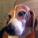 Sharon Carley - @sharon.carley.9 - Instagram