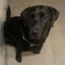 Sharon Carlin - Facebook