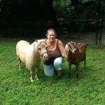 Sharon Carlin Rabie - @sharon.c.rabie - Instagram