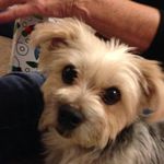 Sharon Lefaiver Carlin - @sharoncarlin35 - Instagram