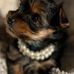 Sharon Carlton - Facebook