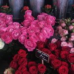 Sharon Carlton - @sharoncarltons - Instagram