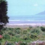 Sharon Carlton - @maree298 - Instagram