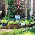 Sharon Carlton - @shassadownunder - Instagram