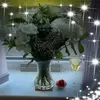 Sharon Carlton - @sharon.carlton41 - TikTok