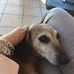 Sharon Carrell - Facebook