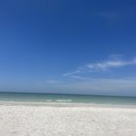 Sharon Carrick - @sharon.carrick.10 - Instagram