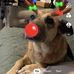 Sharon Carrick-Hunter - Facebook