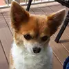 Sharon Karrick - @sharonkarrick0 - TikTok