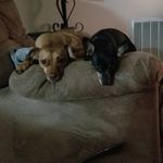 Sharon Lokey Carrick - @sharonlokeycarrick - Instagram