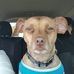 Sharon Lokey Carrick - Facebook