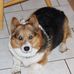 Sharon Casebolt - Facebook