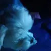 sharoncassellhayn - @sharoncassellhayn - TikTok