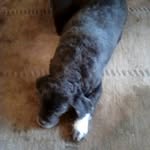 Sharon Cassidy - @sharon.cassidy.52012 - Instagram