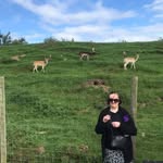 Sharon Cassidy - @sharon.cassidy.16718 - Instagram