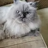 sharoncassidy11 - @sharoncassidy11 - TikTok