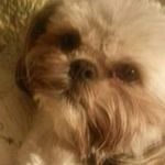 Sharon Casteel - @scasteel42 - Instagram