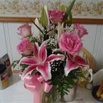 Sharon Casteel - @casteelsharon - Instagram