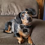 Sharon Casteel-Morris - @imscottie042701 - Instagram