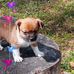 Sharon Causey - Facebook