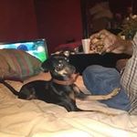 Sharon Causey - @sharon.causey - Instagram