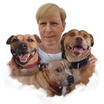 Sharon Chamberlain - @chamberlain_sharon - Instagram