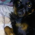 Sharon Chamberlain - @chamberlain.sharon - Instagram