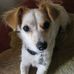 Sharon Chapin - Facebook