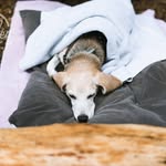 Sharon Chen - @sharonchenphotography - Instagram